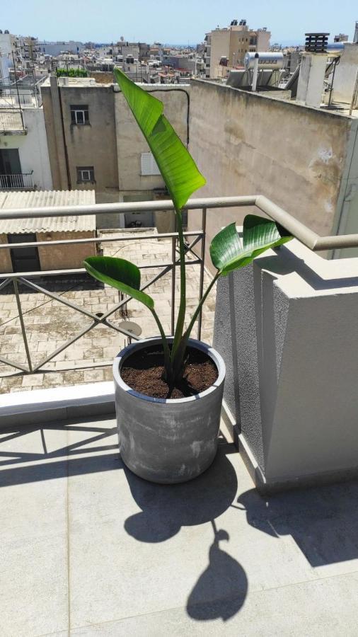 אתונה My Home In Greece מראה חיצוני תמונה