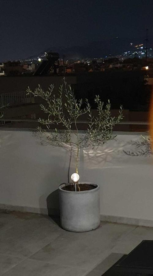 אתונה My Home In Greece מראה חיצוני תמונה
