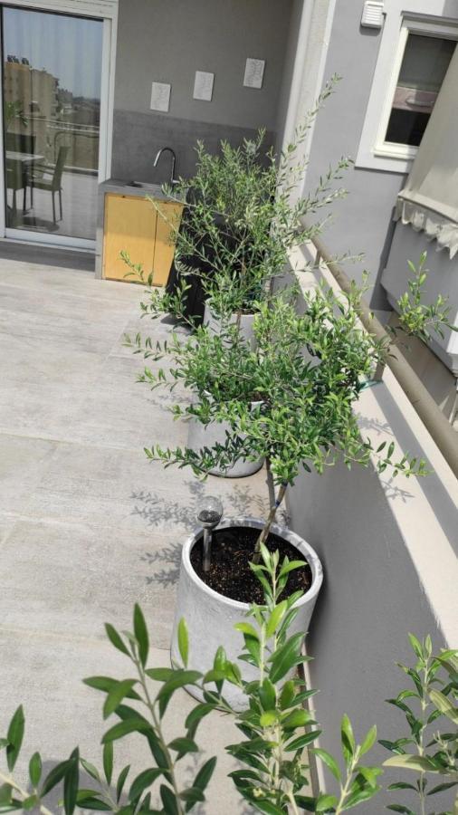אתונה My Home In Greece מראה חיצוני תמונה